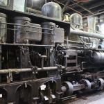 IMG_7880 (May 28, 2024)